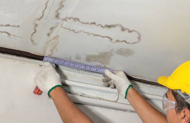 Reliable Burst Pipe Cleanup contractor in Ocean Springs, MS by Water Damage Irwin
